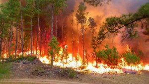 incendios